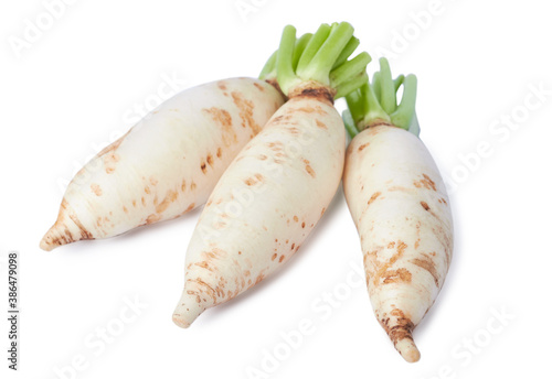 baby white radish isolated on white background with clipping path