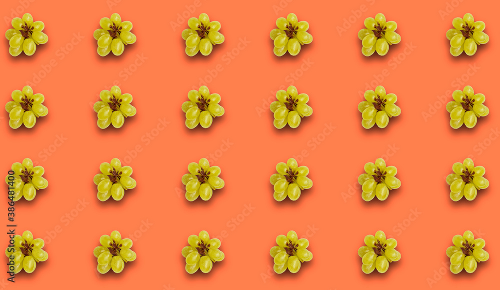 Pattern with small branches of green grapes with a shadow on a coral background.