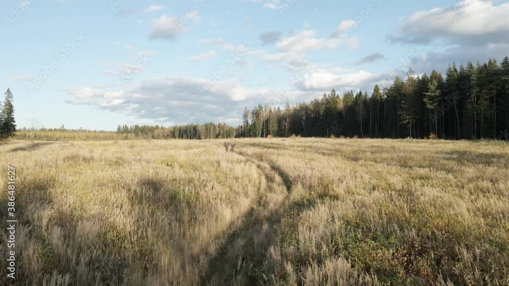 flying over a yellow autumn field with a small path flying over a yellow autumn field with a small path
