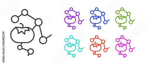 Black line Genetically modified food icon isolated on white background. GMO fruit. Set icons colorful. Vector.