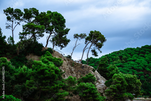 Green mountains in Catalonia shore