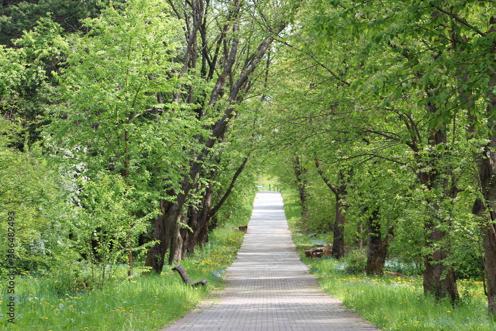 No people road