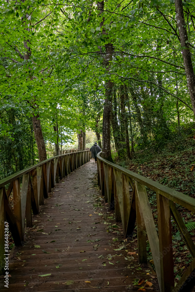 Wooden walkway to access the Natural Monument of the Secuoyas of Monte Cabezón. Cantabria. Spain Wooden walkway to access the Natural Monument of the Secuoyas of Monte Cabezón. Cantabria. Spain