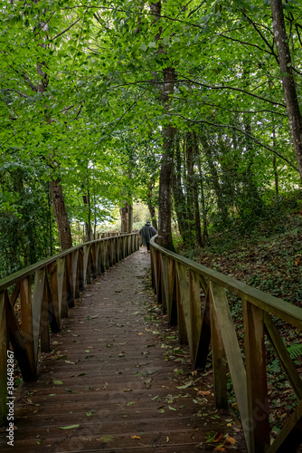 Wooden walkway to access the Natural Monument of the Secuoyas of Monte Cabezón. Cantabria. Spain