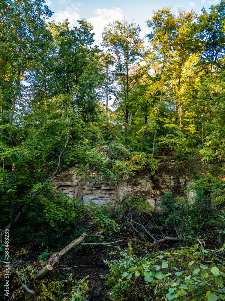 Fototapeta premium Sandstein Felswand im Wald