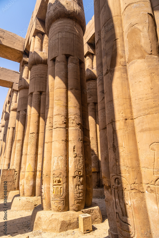 Precious columns with ancient egyptian drawings in Luxor Temple, Egypt Precious columns with ancient egyptian drawings in Luxor Temple, Egypt