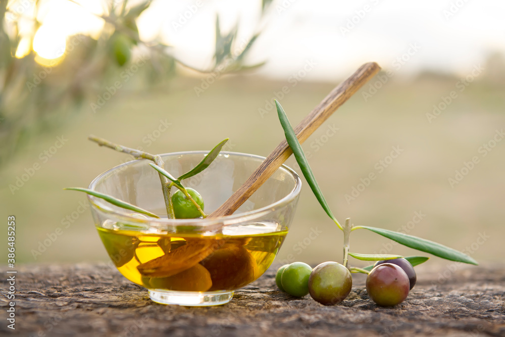 fresh olives and olive oil in their natural environment fresh olives and olive oil in their natural environment