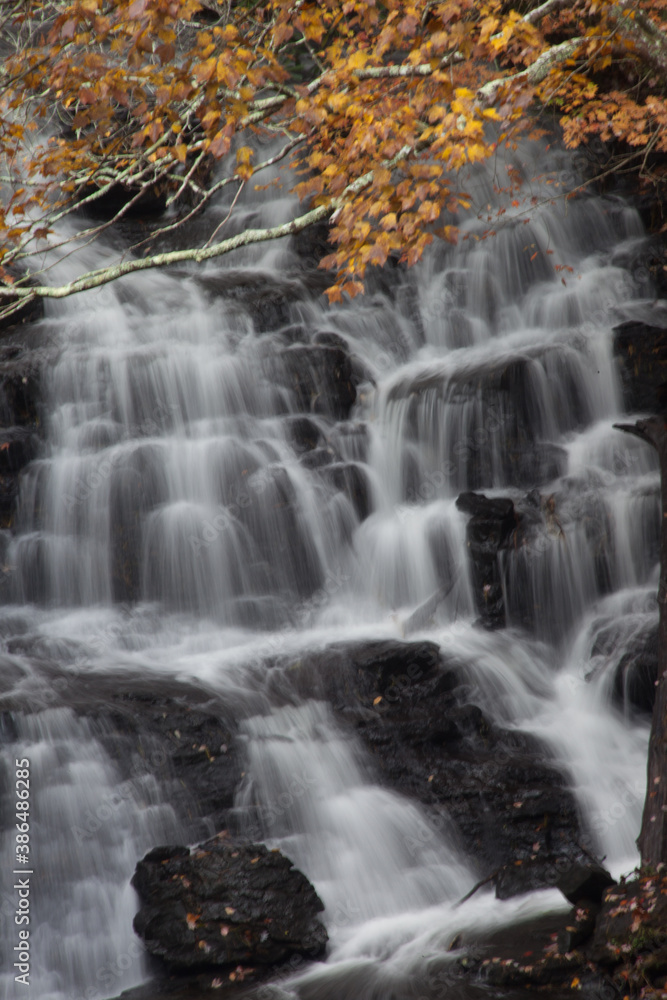 Fototapeta premium Fall leaves and a waterfall