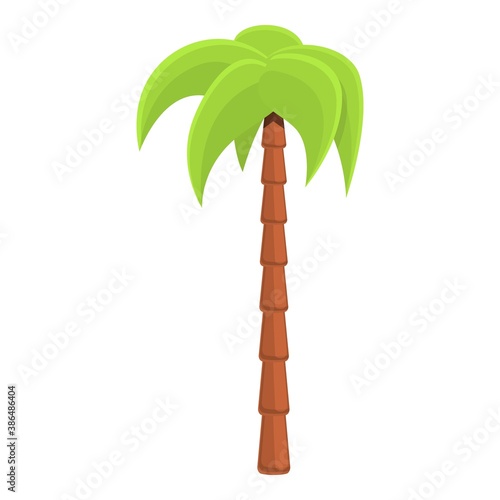 Graceful palm tree icon. Cartoon of graceful palm tree vector icon for web design isolated on white background