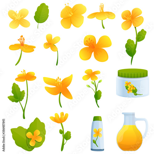 Celandine icons set. Cartoon set of celandine vector icons for web design