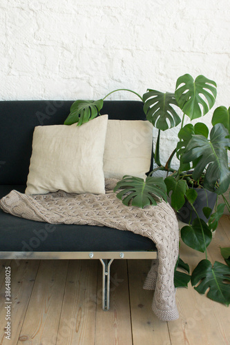 Stylish scandinavian living room interior of modern apartment with black sofa, plaid and cushions, plants. Home decor.