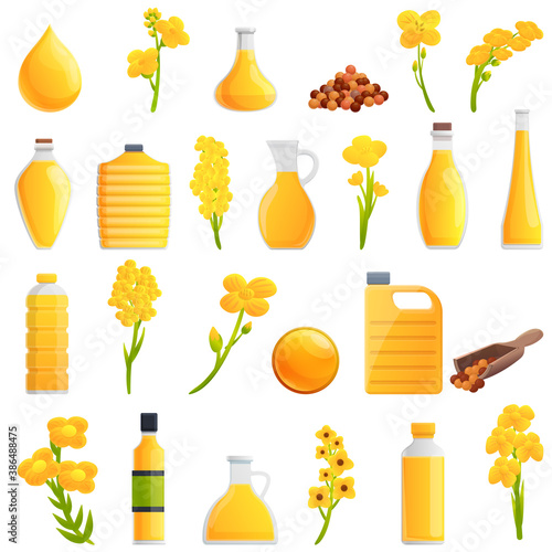 Canola icons set. Cartoon set of canola vector icons for web design