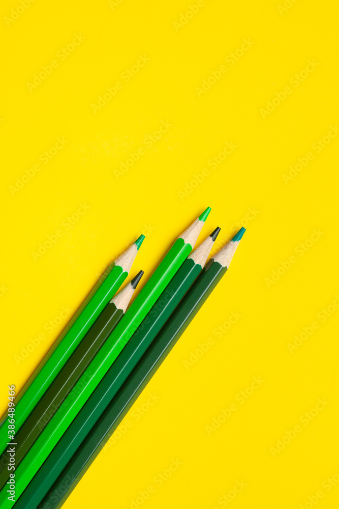 diagonal green sharp wooden pencils on a bright yellow background, isolated, copy space, mock up. diagonal green sharp wooden pencils on a bright yellow background, isolated, copy space, mock up.