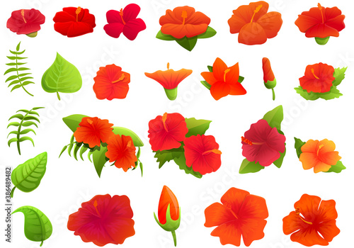 Hibiscus icons set. Cartoon set of hibiscus vector icons for web design