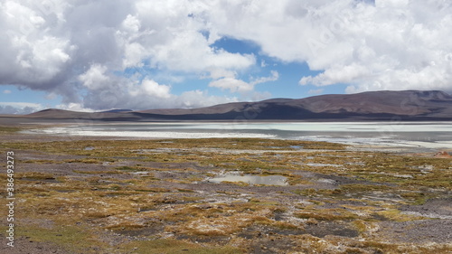 Laguna Brava (La Rioja)