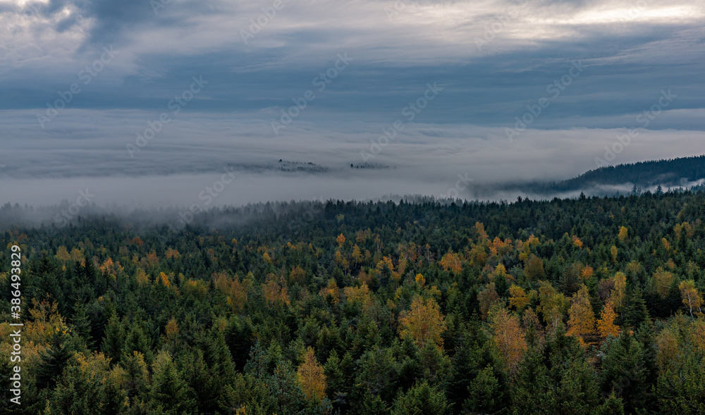 Fototapeta premium Moving clouds and autumn fog over the Black Forest