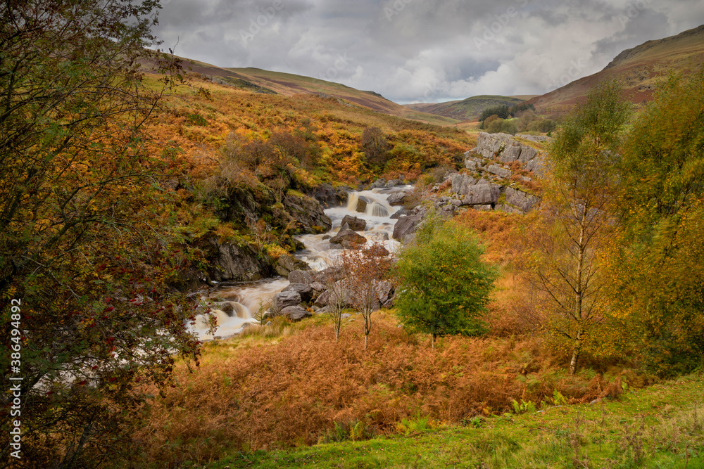Elan valley landscape
A river running through the Elan Valley reservoir area in the county of Powys, Mid Wales, UK
Elan valley landscape
A river running through the Elan Valley reservoir area in the county of Powys, Mid Wales, UK