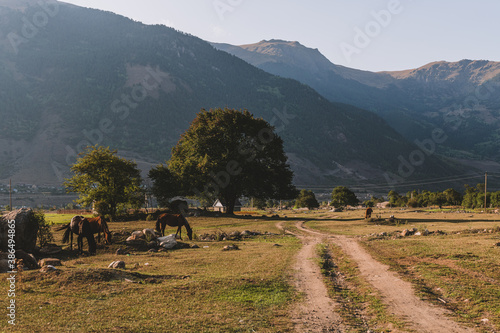 Rural landscape in the mountains. Village track road through the meadow.