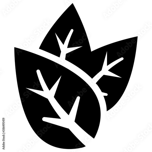 
A leaf with multiple veins inside having heart like shape called beech leaf 
