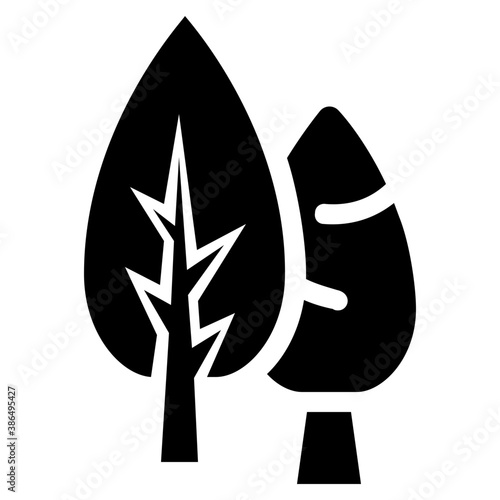 
A leaf with multiple veins inside having heart like shape called beech leaf 
