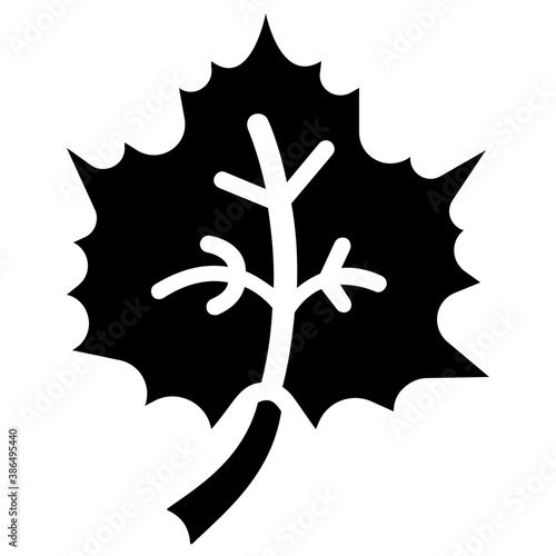 
A leaf with multiple veins inside having heart like shape called beech leaf 
