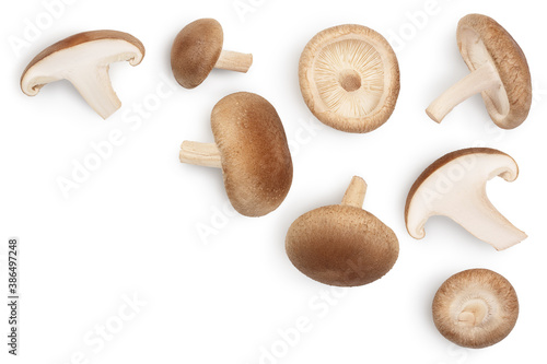 Fresh Shiitake mushroom isolated on white background with clipping path. Top view with copy space for your text. Flat lay