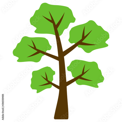 
Tree with brown stem and green leaves structured in colonies, this is hangman’s elm tree  
