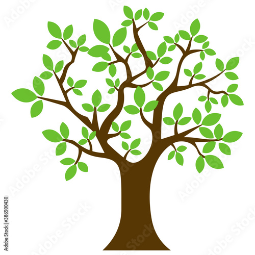 
A thorny deciduous tree, Honey locust icon vector 
