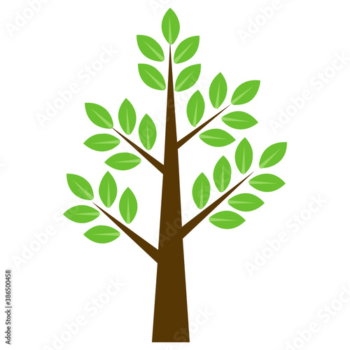
A thorny deciduous tree, Honey locust icon vector 
