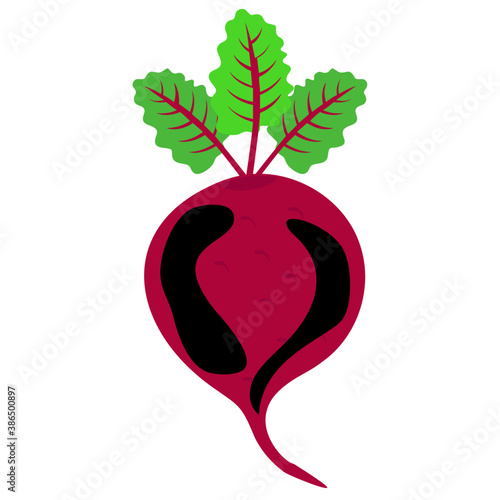 
Icon for radish shown by a vegetable with root and leaves
