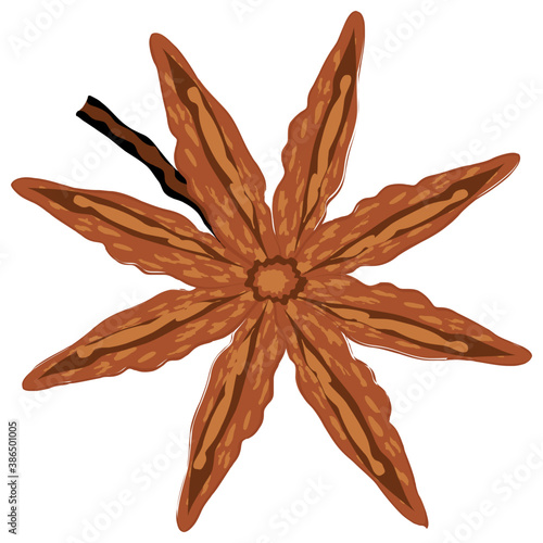 
Brown colored chinese spice star anise is shown by a floral eight pointed star shape 
