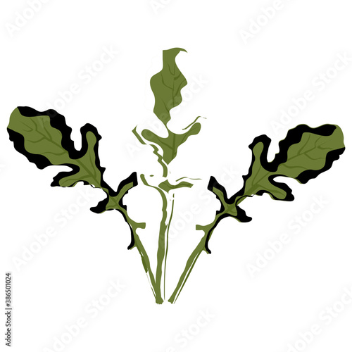 
Vegetable with green spatulate shaped leaves denoting arugula icon
