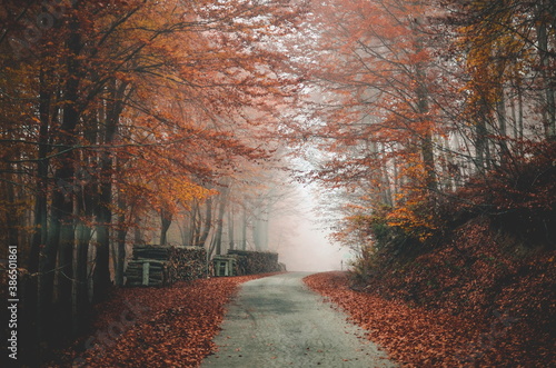 Autumn in the mountain Pagaio Greece	 photo