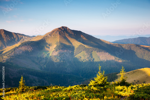 Tranquil sunny day in alpine valley. Location place of Carpathian mountains  Ukraine.