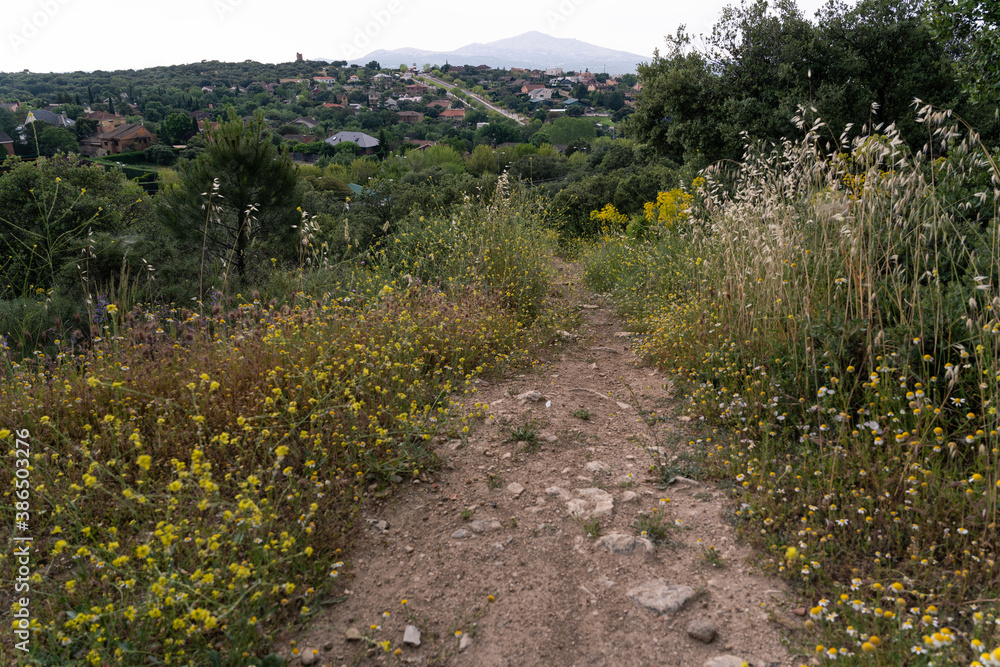 Sandy mountain path