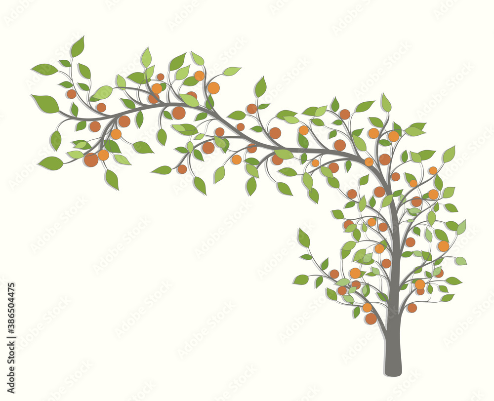 Tree with a curved branch with green leaves and red fruit Tree with a curved branch with green leaves and red fruit