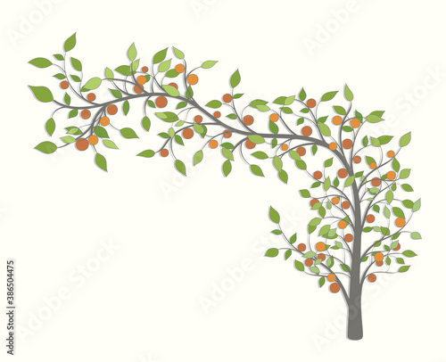 Tree with a curved branch with green leaves and red fruit