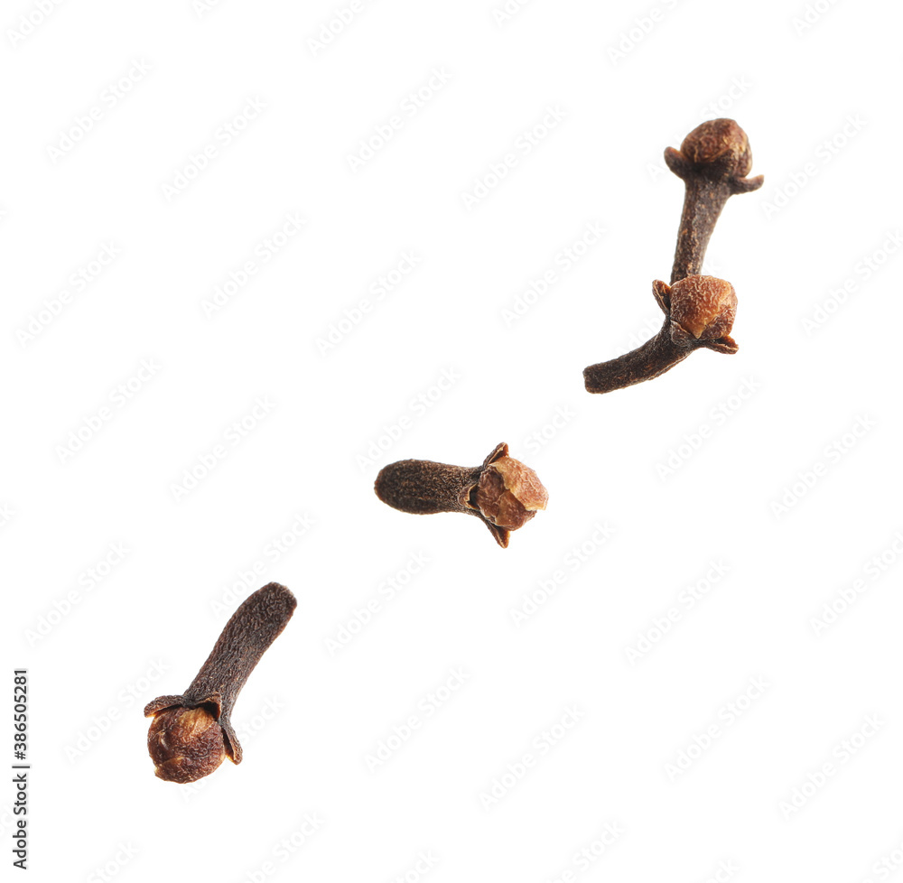 Dry cloves on white background. Mulled wine ingredient Dry cloves on white background. Mulled wine ingredient