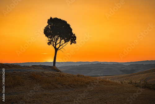 Beautiful view with the silhouette of a pine tree on the top of Tuscany hill in the morning at sunrise