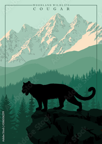 vector mountain in woodland on Rocky mountains with Puma, Cougar, mountain lion 