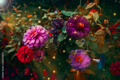 Wallpaper Mural Magic flowers in the garden. Colorful gerbera Torontodigital.ca