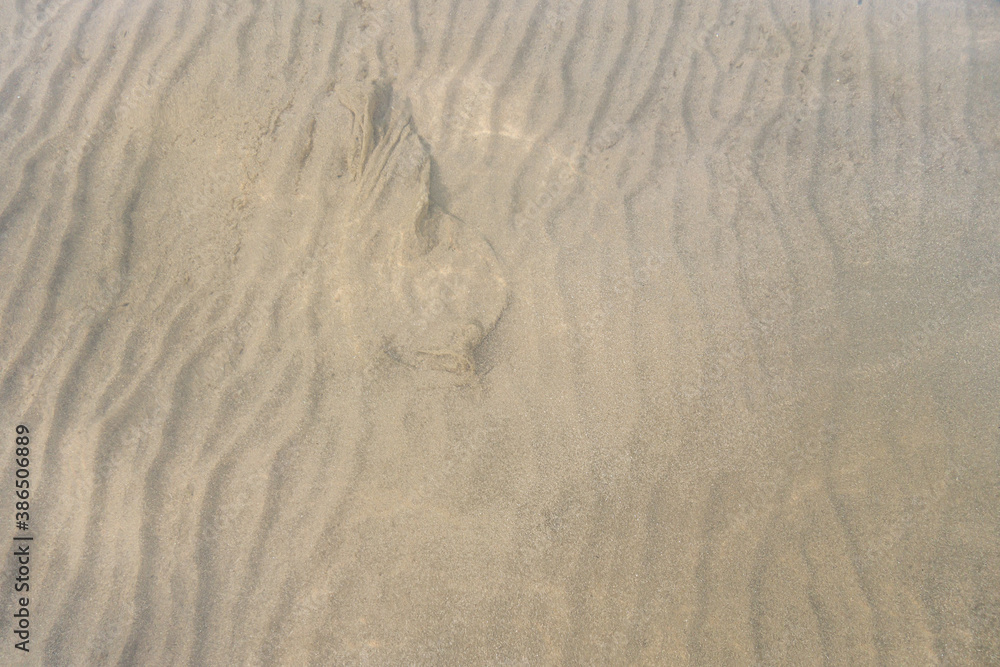 abstract background of sand at the bottom of the lake abstract background of sand at the bottom of the lake
