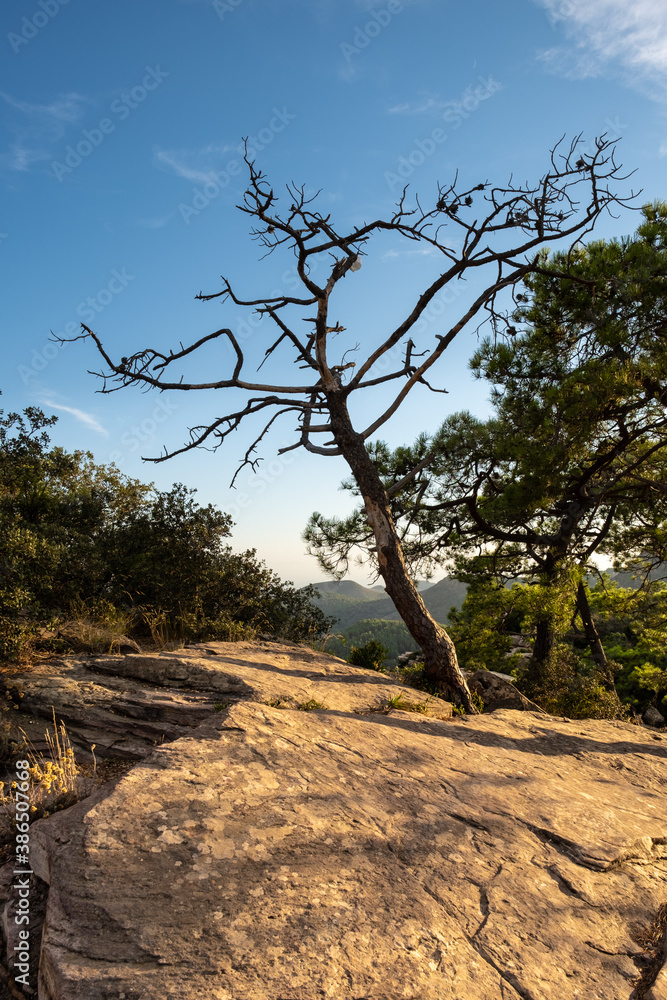 beautiful Spanish mountain landscape with soft light beautiful Spanish mountain landscape with soft light