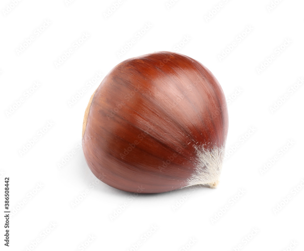 Fresh sweet edible chestnut isolated on white Fresh sweet edible chestnut isolated on white