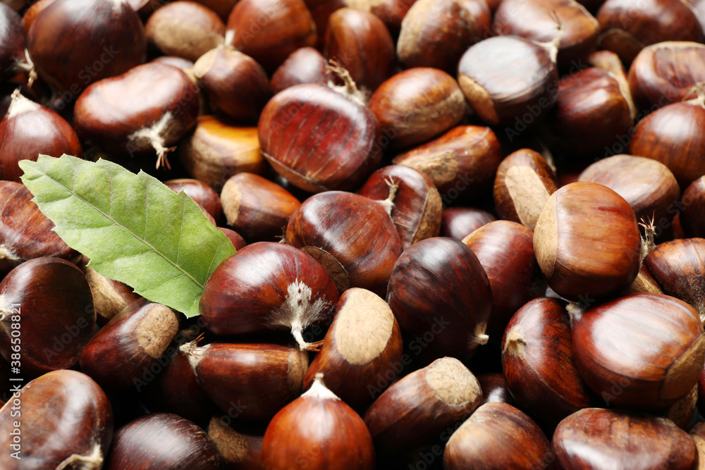 Fresh edible sweet chestnuts as background, closeup Fresh edible sweet chestnuts as background, closeup