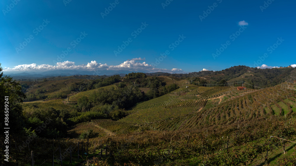 Fototapeta premium Le colline del Gattinara