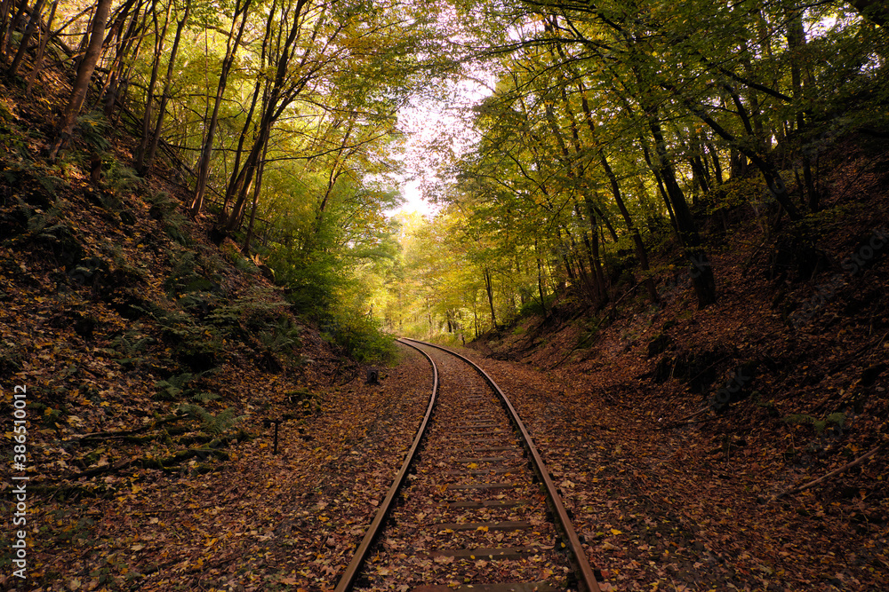 Fototapeta premium Stillgelegte Bahnstrecke Brexbachtalbahn durch den Westerwald bei Grenzau in Rheinland-Pfalz - Stockfoto