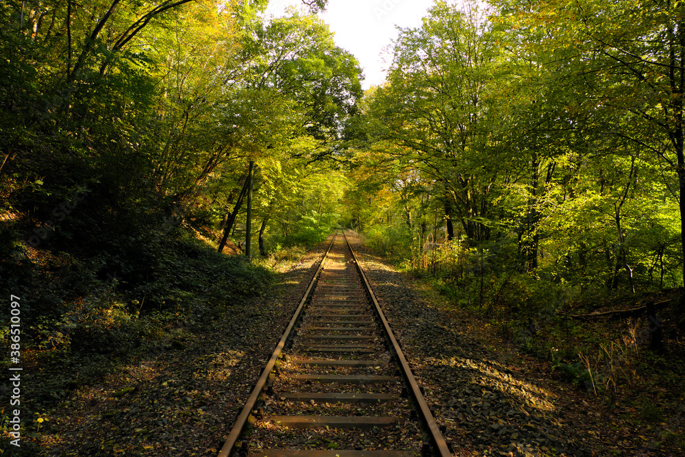 Fototapeta premium Stillgelegte Bahnlinie, eingleisige Strecke durch Waldgebiet - Stockfoto