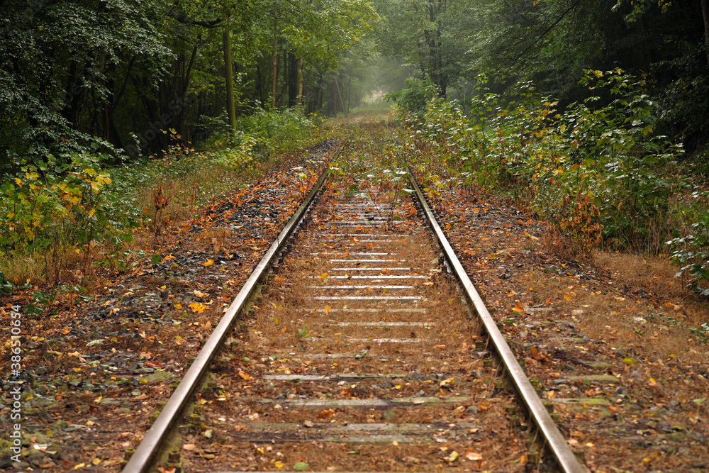 Fototapeta premium Zugewachsene stillgelegte Bahnstrecke Brexbachtalbahn im Westerwald bei Höhr-Grenzhausen in Rheinland-Pfalz - Stockfoto