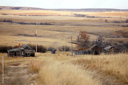 Abandoned Montana Homestead